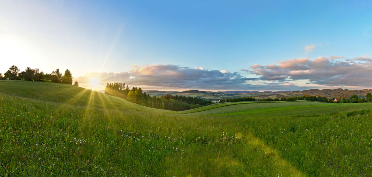 Hügelige Landschaft im Mühlviertel mit Weitblick auf Wiesen, Wald und Felder – mit schöner Sonneneinstrahlung.